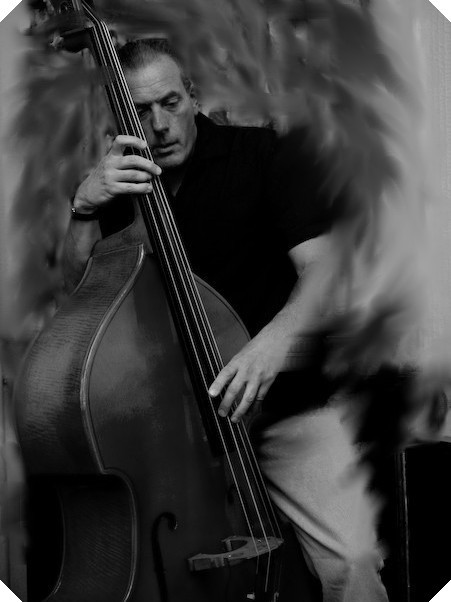 Steve, Bailey's Cat Bass player